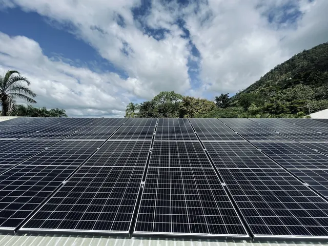Solar panel installation — Sunnyville Solar